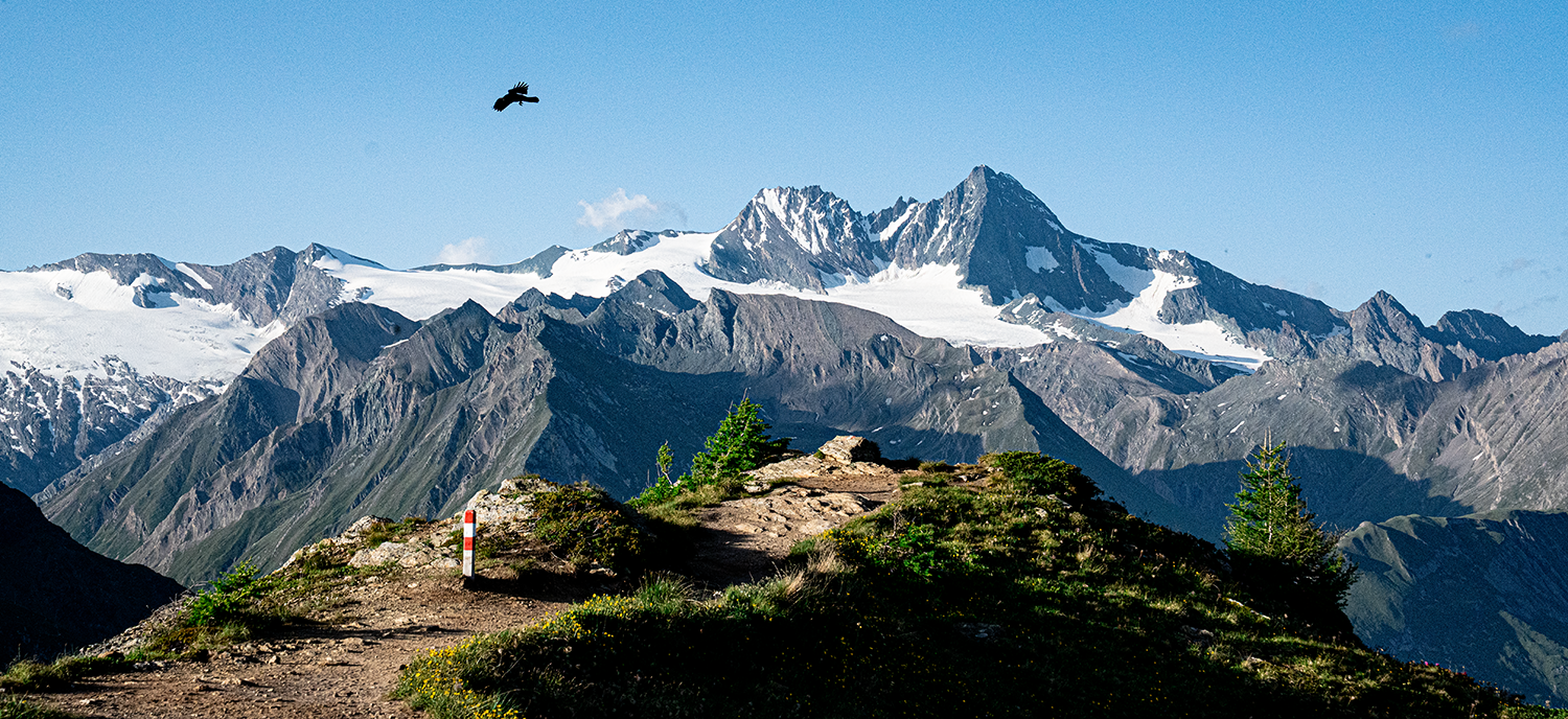 Blick zum Großglockner von der Adler Lounge in Kals am Großglockner